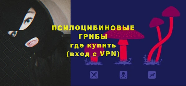 гашик Лиски
