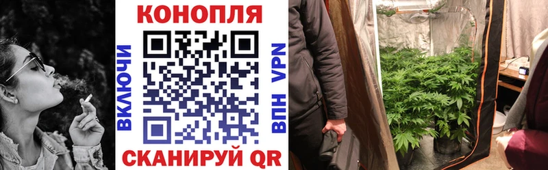 Конопля сатива  Купить где  Костомукша 